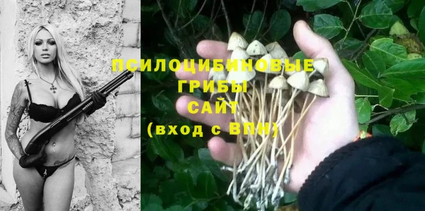 винт Аркадак