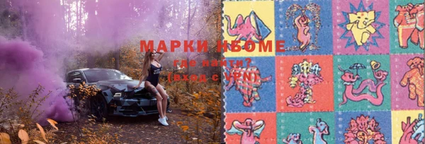 винт Аркадак