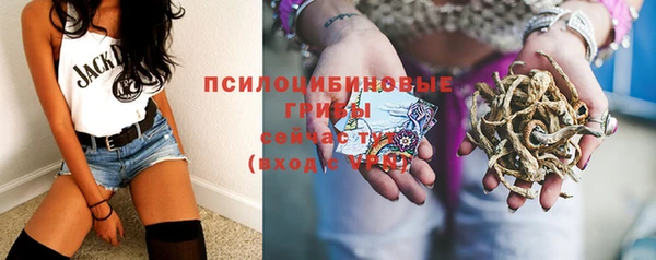 винт Аркадак