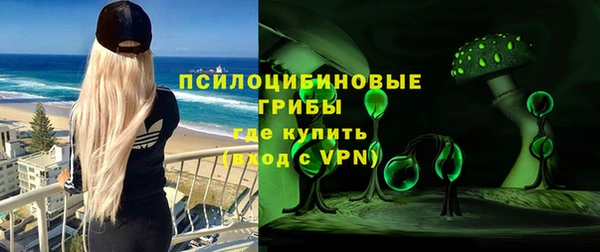 винт Аркадак